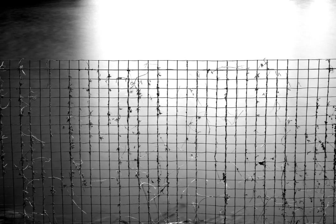 津门网金熙男:宁静的太子河