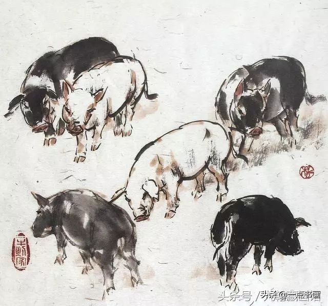 简单猪画画教学,国画写意猪图大全