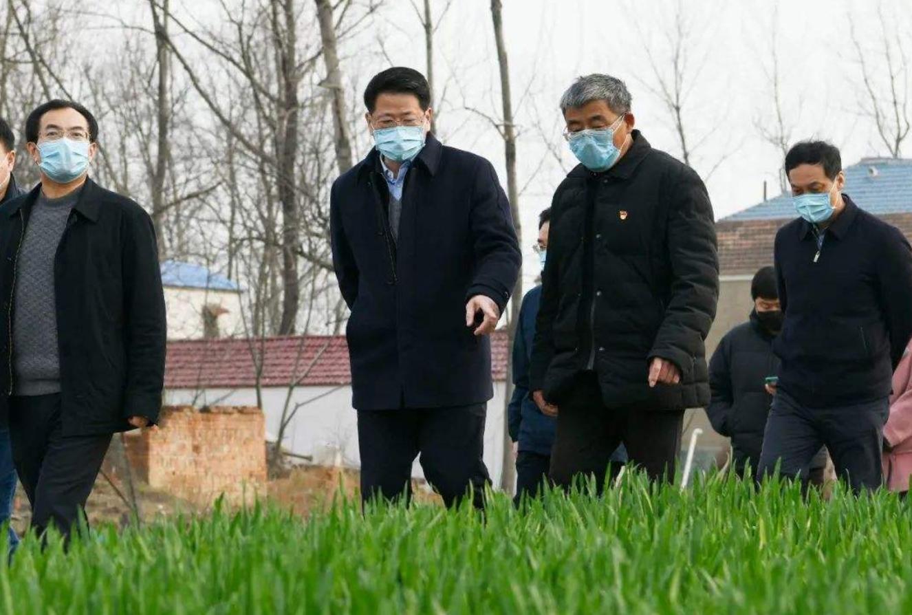 亩产500斤的产量多少,亩产3000斤1斤卖500元