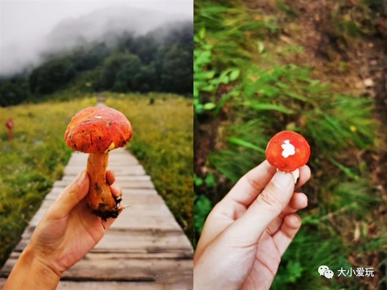北京夏季最美十大登山步道,北京有一个神奇而美丽的步道