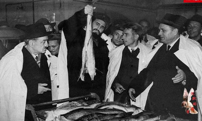 卡斯特罗纪实视频,卡斯特罗的精彩瞬间