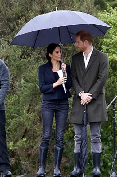 浼樺崱鏉滆嚜鍔ㄤ紴,浼樺崱鏉滄満姊拌嚜鍔ㄤ紴