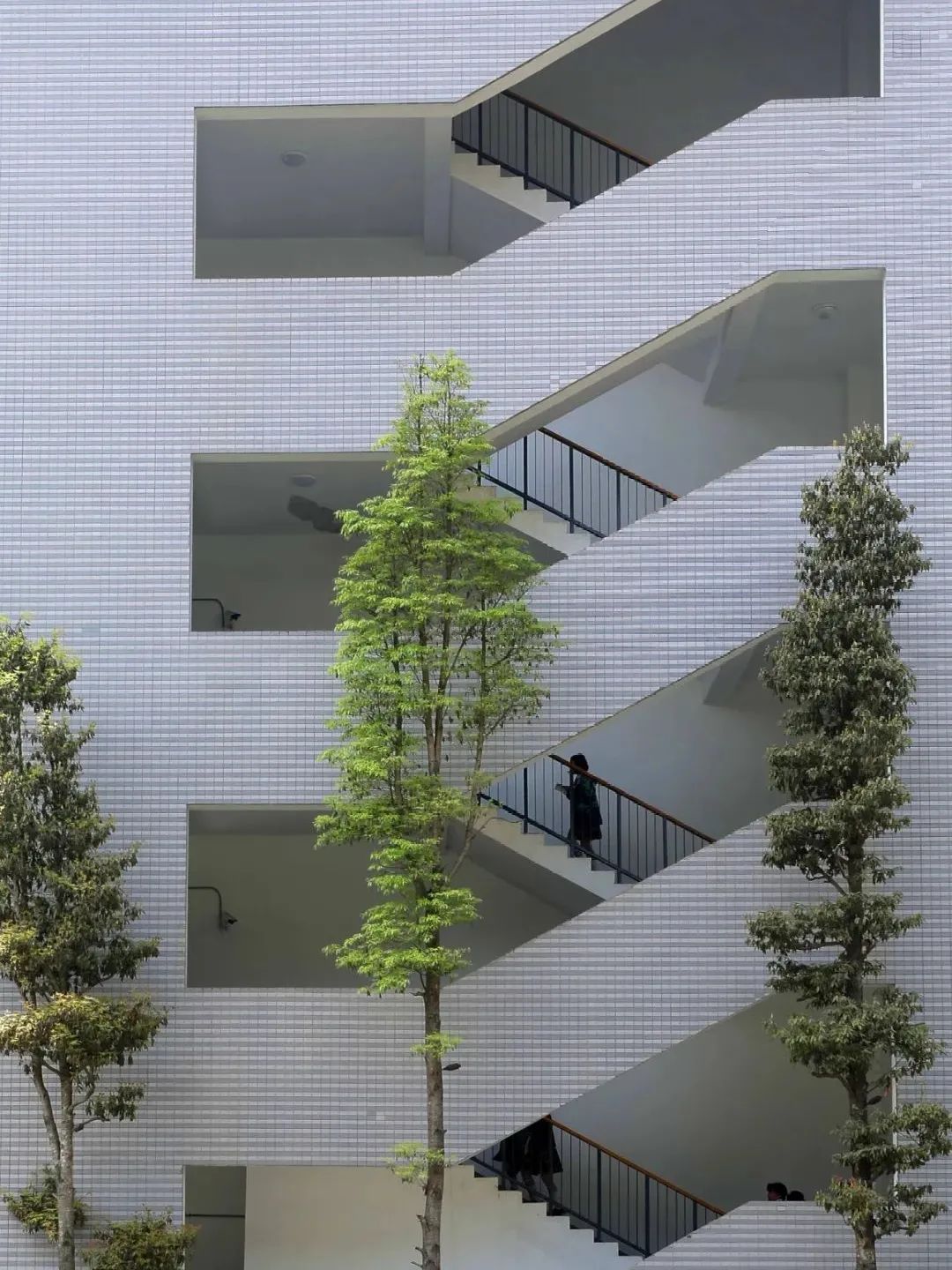 2023天府四中摇号率,天府四中初中部摇中率