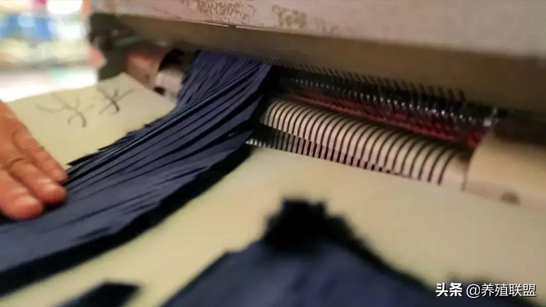 几千和几百的皮衣,一千块可以买什么档次的皮草