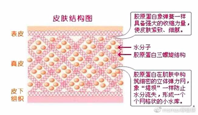 口服胶原蛋白真的有效么,口服胶原蛋白真的有效