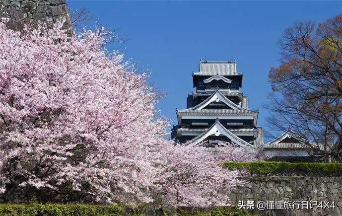 如果多一张船票你愿意跟我走吗,如果多一张船票你会跟我一起走吗