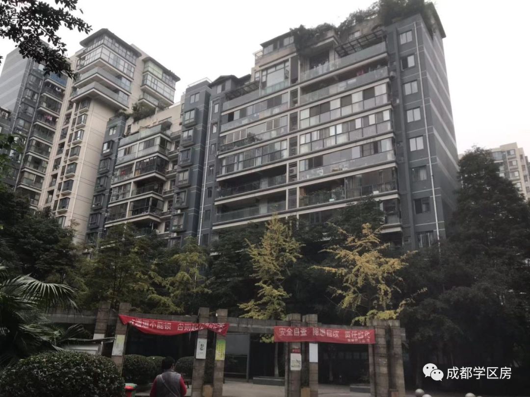 和泡小非常像的一个分校之最全盘点！​