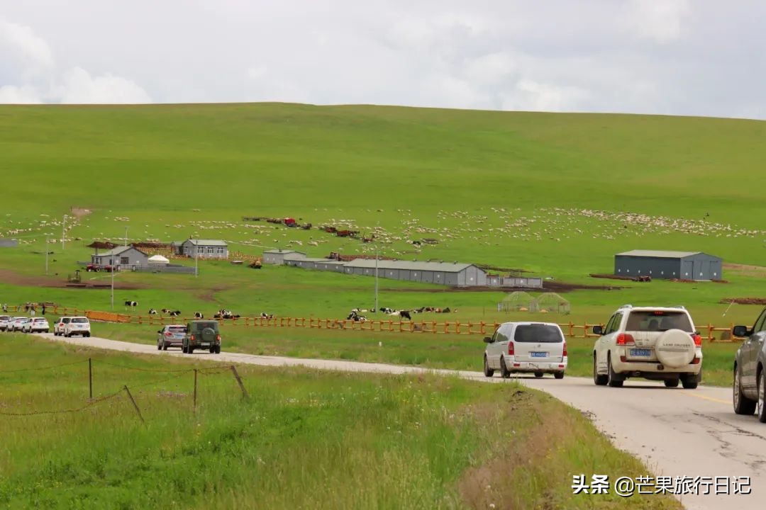 自由行呼伦贝尔七天费用,呼伦贝尔自由行费用