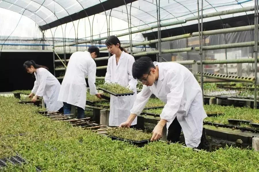 报考华南农业大学,华农报录比