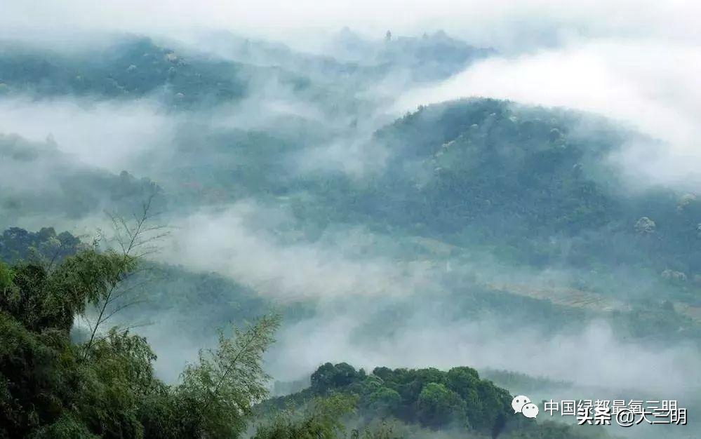 中国绿都最氧三明春回大地,大武夷旅游绿都三明