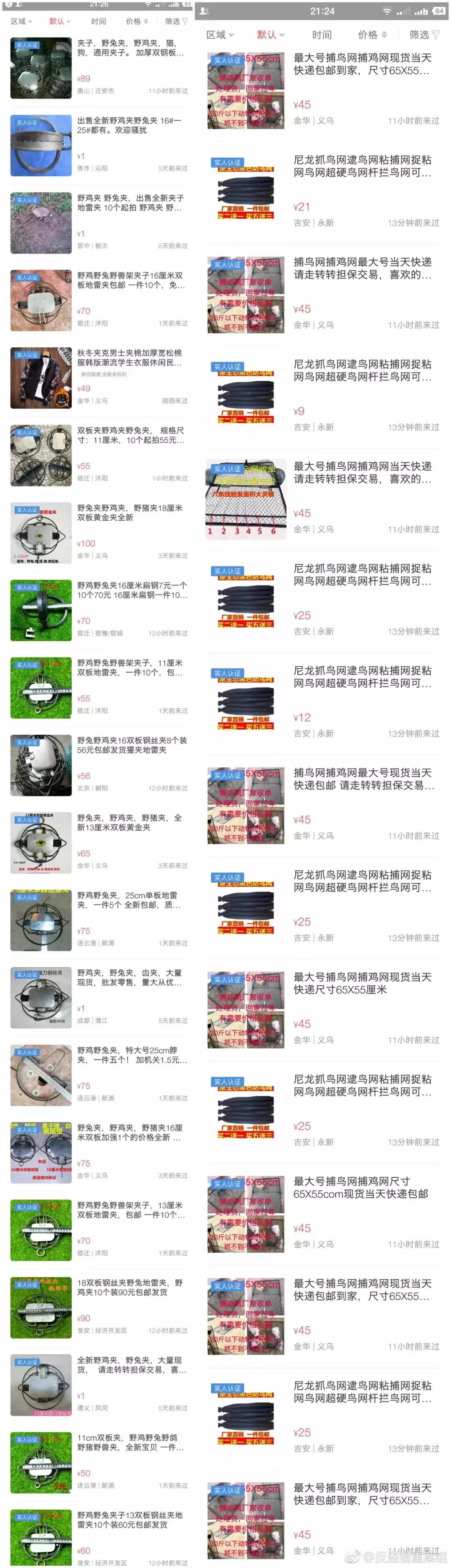 从禾花雀到云雀,又一种鸟快被中国人吃绝种了!