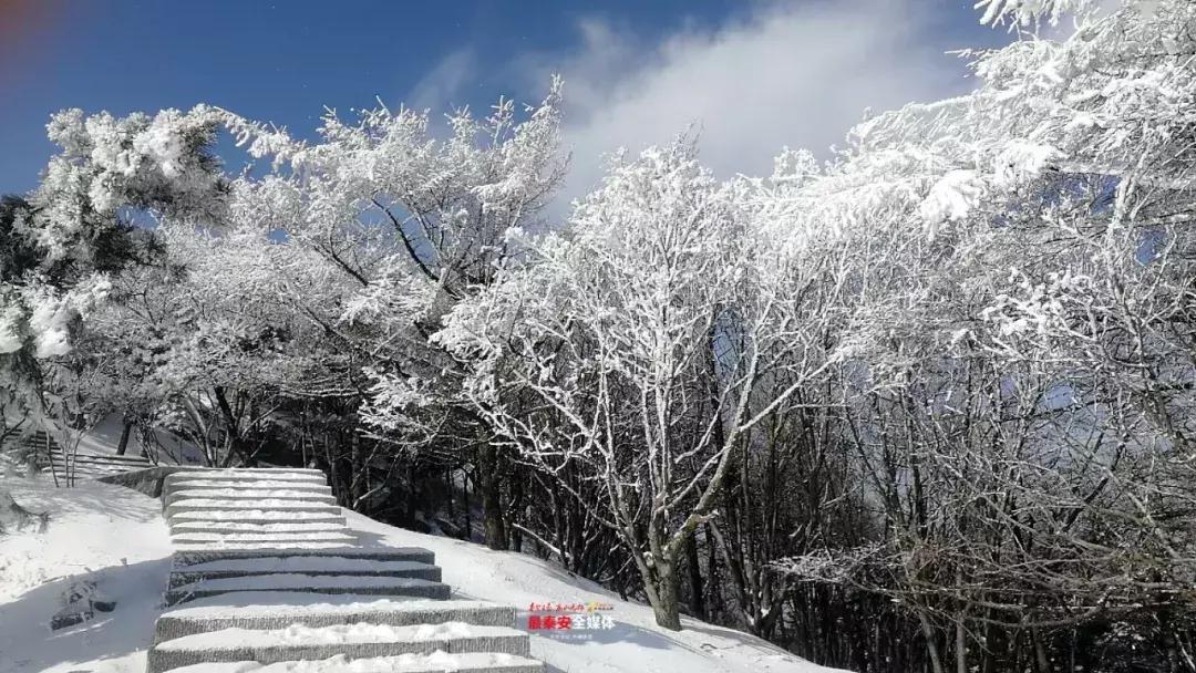 此刻泰山成了雪国，美到无言！高清美图来袭，“雪国的列车”即刻发车！