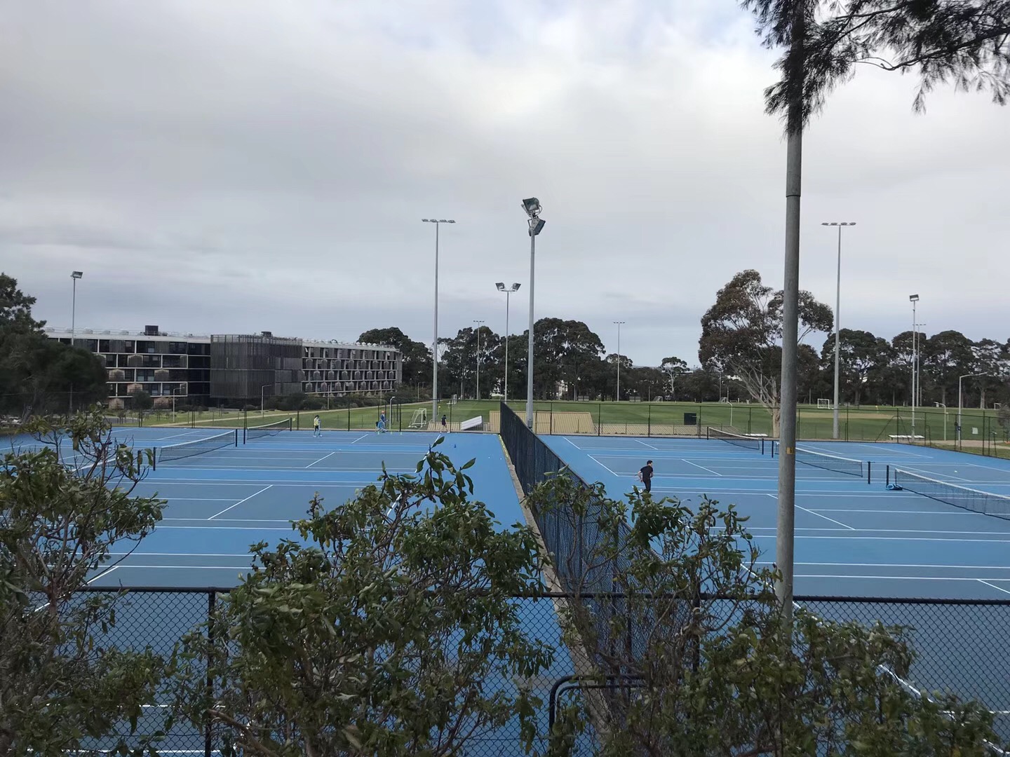 莫纳什大学留学费用,澳洲莫纳什留学费用