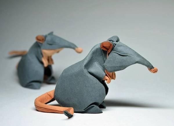 能飞100米的飞机纸飞机怎么折,高音速飞机折法