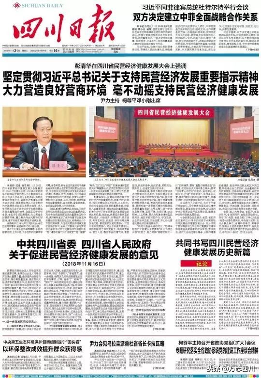 四川改革开放的案例,四川的改革开放成绩