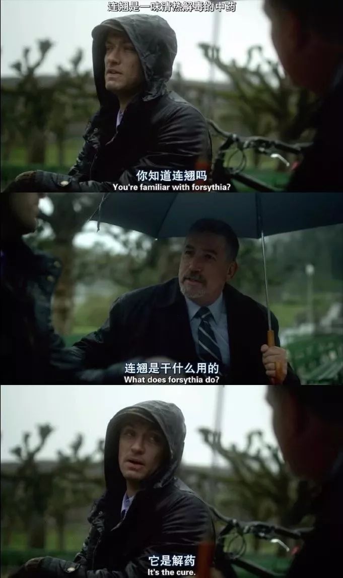 如何看待双黄连口服液一夜脱销,双黄连一夜断货了吗