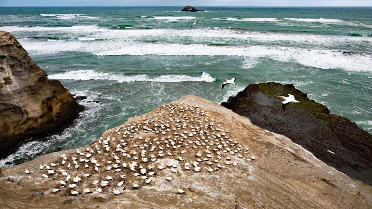 剧版指环王在哪可以看,指环王拍成连续剧