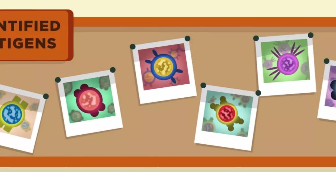 为什么经常生病的人反而活得长久,经常生病的人该怎么办