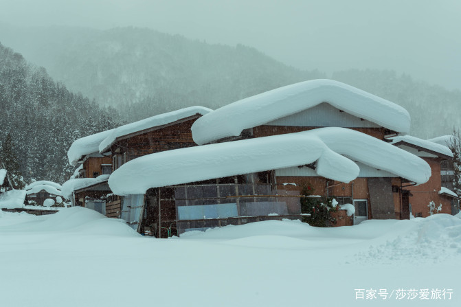 在日本中部的岐阜，发现不一样的日本