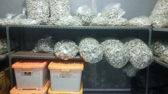 燕窝知识儿童篇,你不知道的营养知识