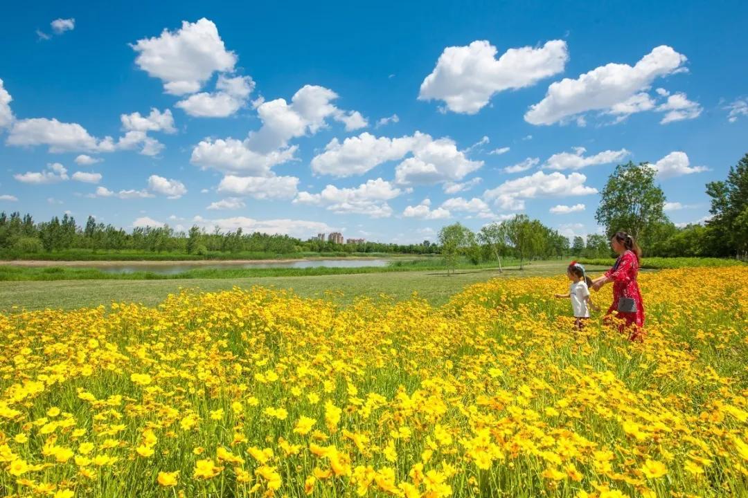 3分钟新闻早读,早读新闻60秒