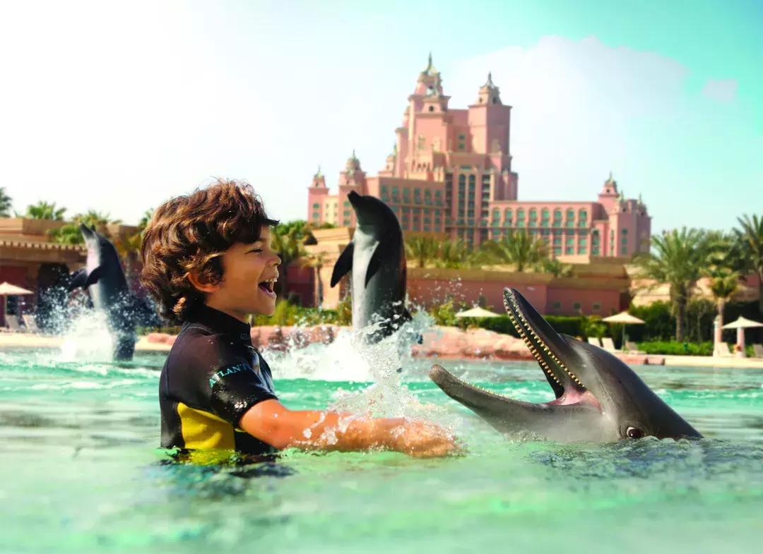 白本护照出境法国旅游免签吗,白本护照旅游去哪个国家比较好