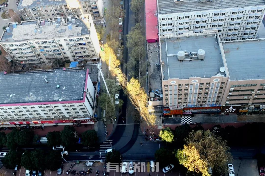 元旦快乐简单又好看的礼物,元旦节简单又好玩的礼物