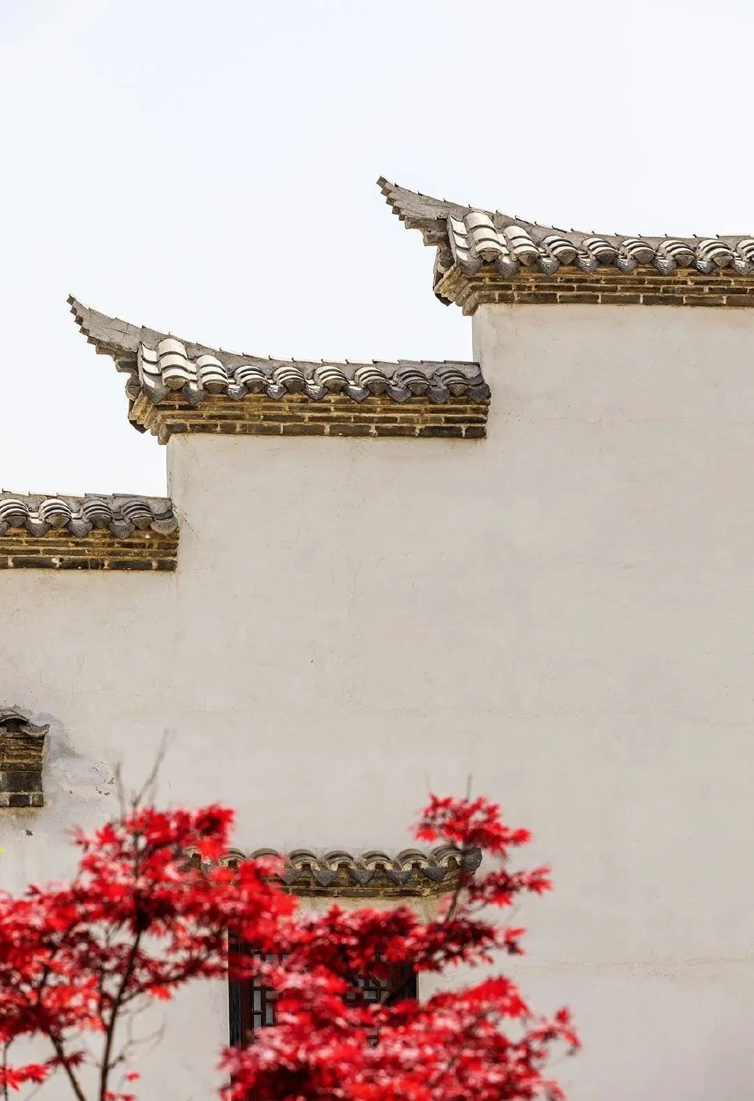 青岛西海岸啤酒节攻略,青岛西海岸周末去哪玩