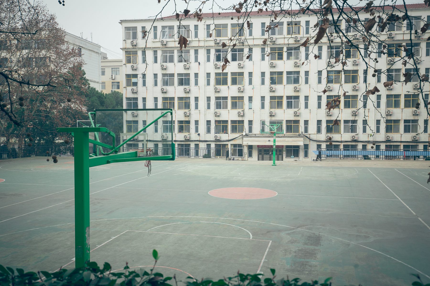 武汉哪里吃螃蟹风景最好,武汉人去青岛玩的地方