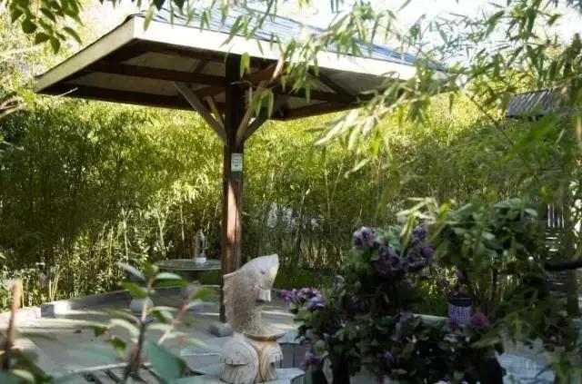 洛阳冬天泡温泉最好的地方,洛阳泡温泉的门票多少