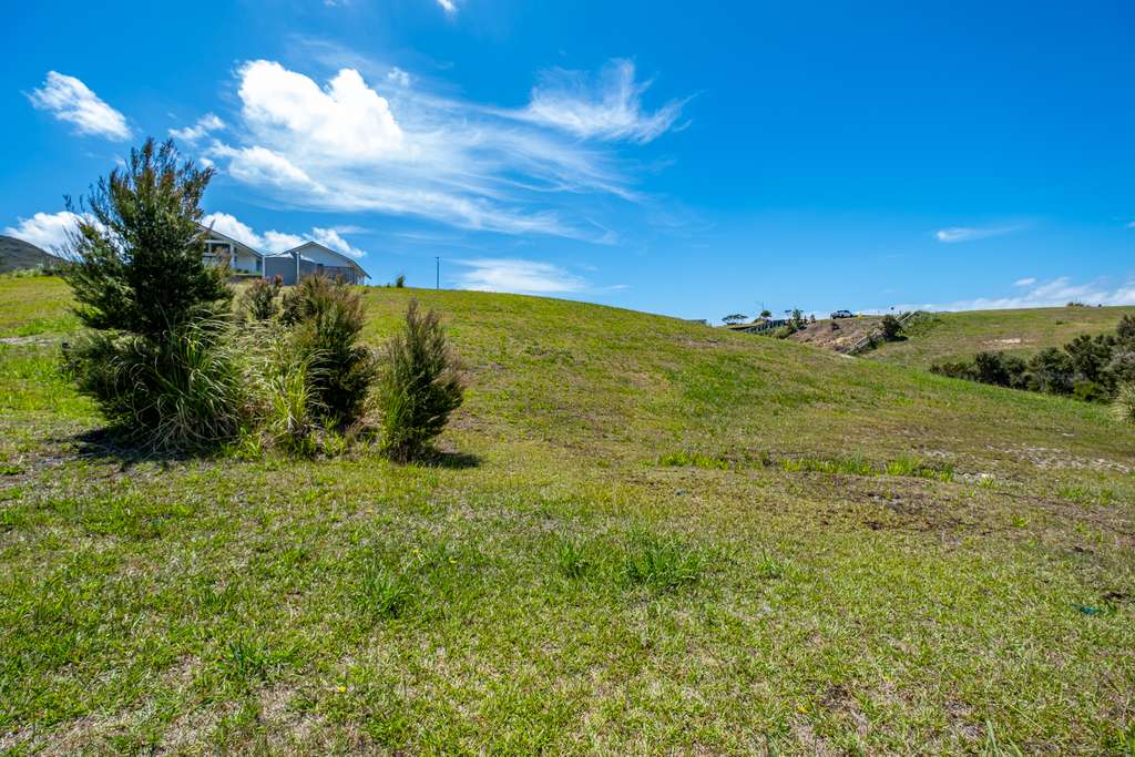 100万人民币在新西兰能买多大房子,100元能在新西兰买些什么