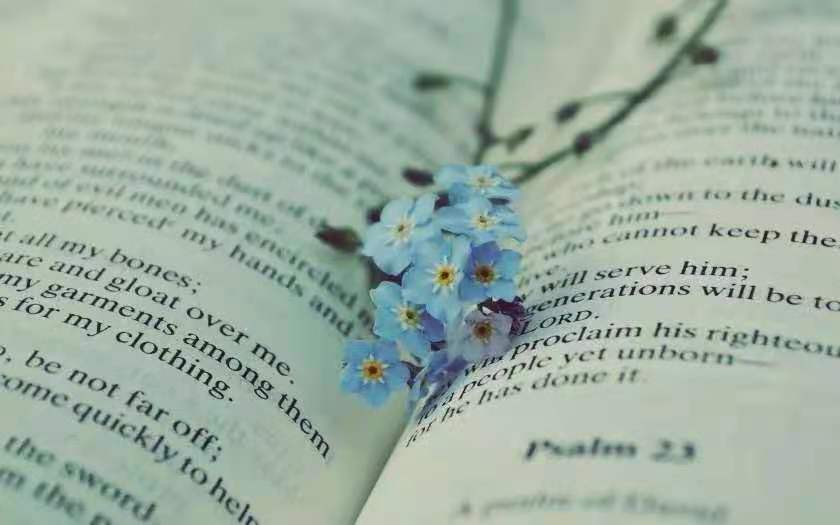 《无需讨好世界，且让自己欢喜》:做己喜欢之事，成己喜欢之人