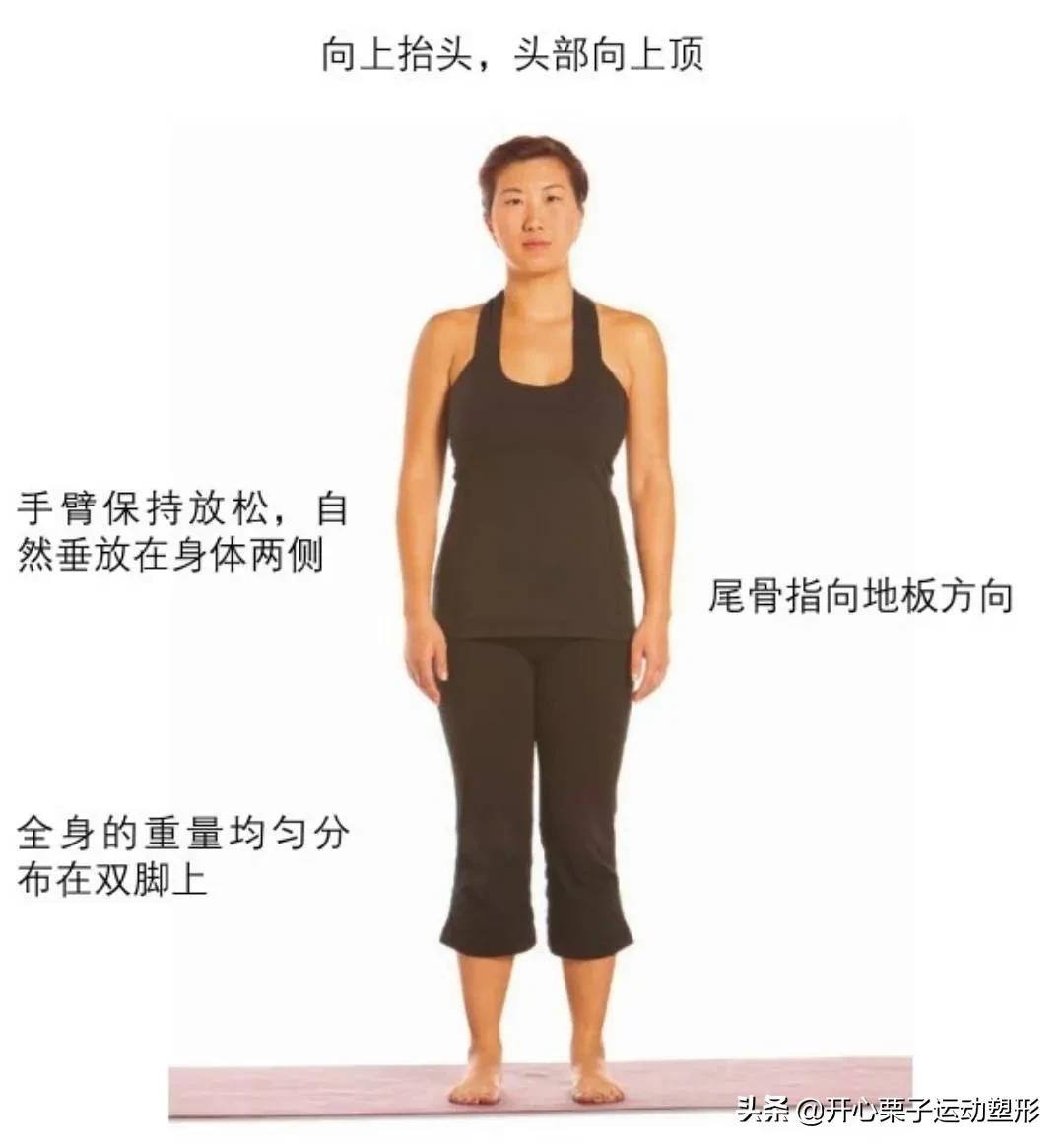 普拉提每天必练100个动作,普拉提站姿动作十个