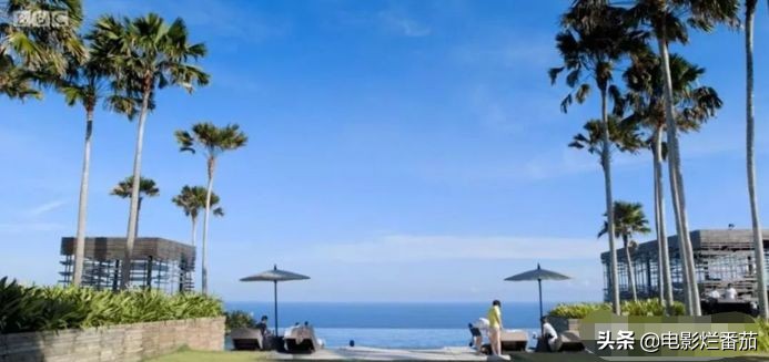 bbc纪录片案件,bbc纪录片百万婚礼策划