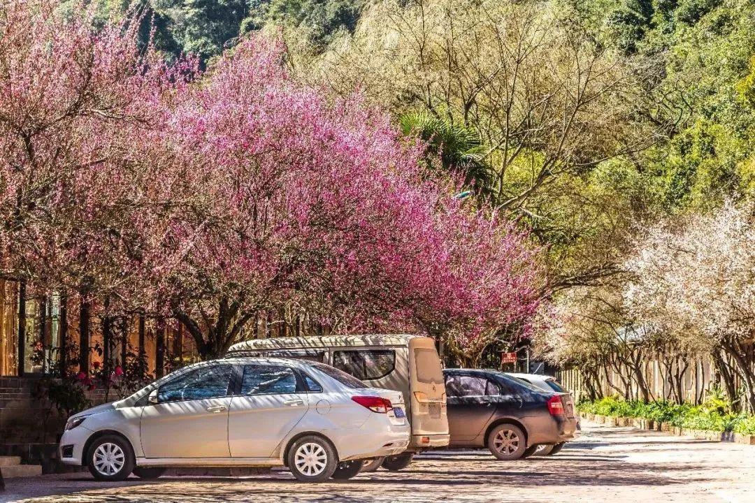 昆明周边好玩的地方青龙峡推荐,昆明青龙峡景区
