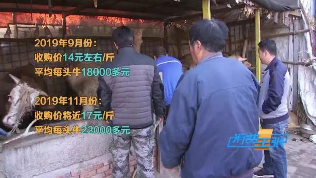 牛肉批发价最新价格,牛肉价格补贴最新消息