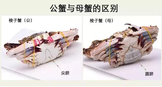 开海啦一大波生猛海鲜汹涌来袭,开海倒计时最全海鲜选购攻略