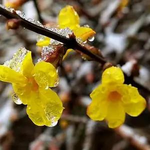 妇科超声前准备,妇科超声知识讲解