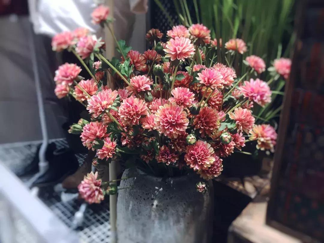 教师节感念师恩征文,教师节感激师恩的简短句子