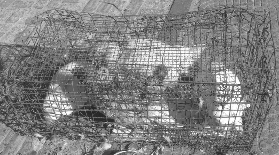 小学数学怎样快速学,杭州小学数学怎么学