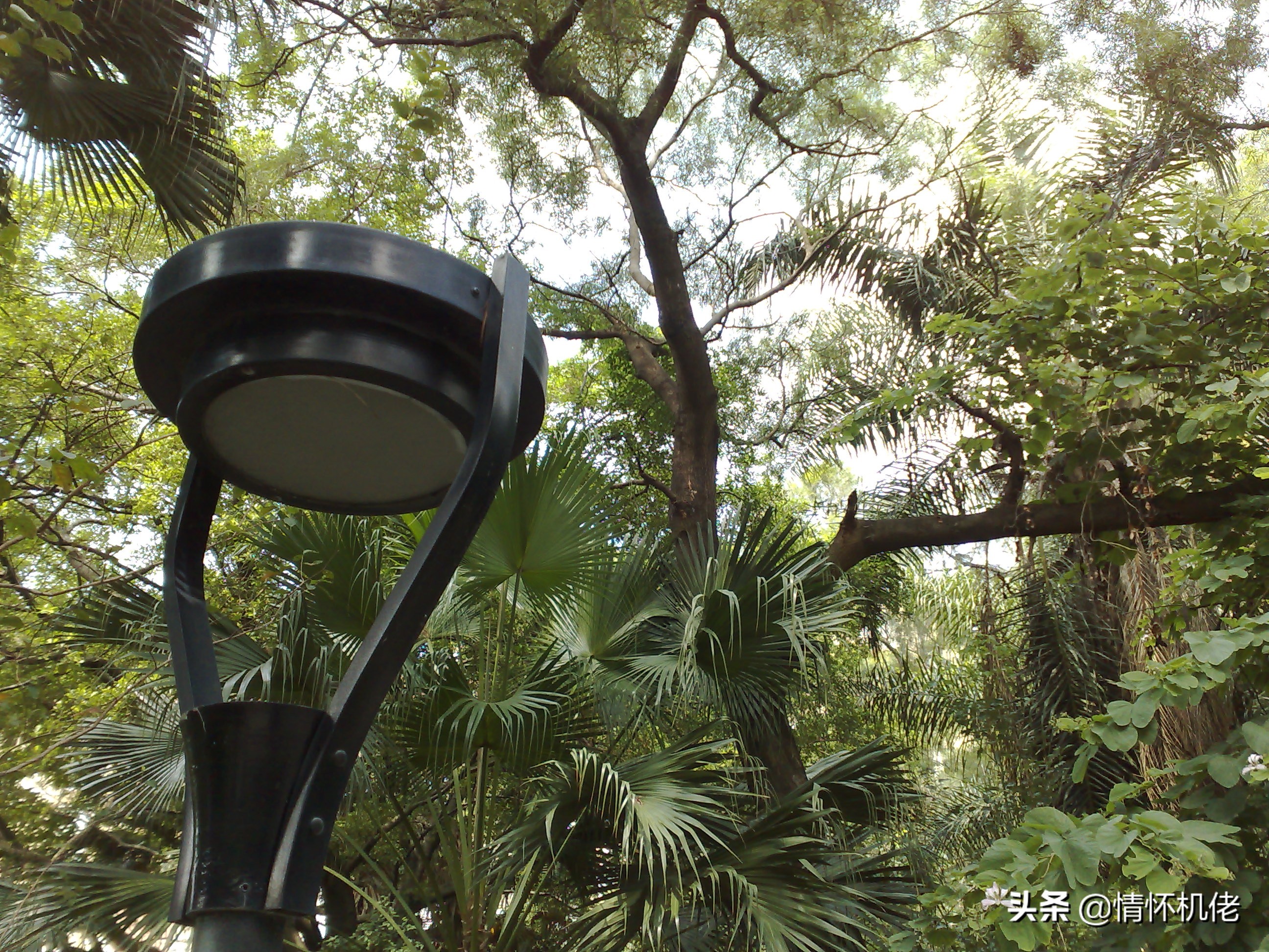 诺基亚n95当年曾经的辉煌,诺基亚n95远古视频