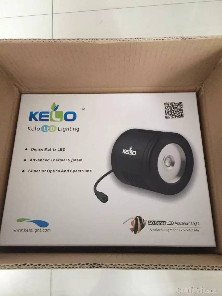 KELO钜彩照明LED水族灯试用活动鱼友评测详情（二）