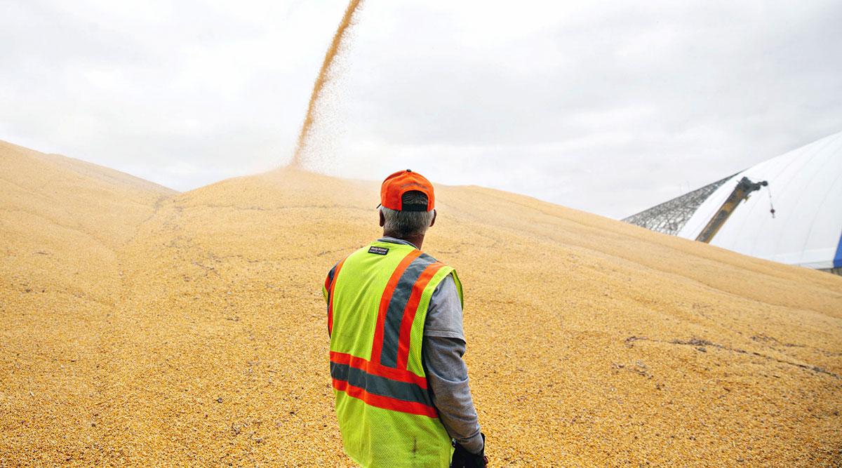转基因食品利与弊的例证,关于转基因食品的文章