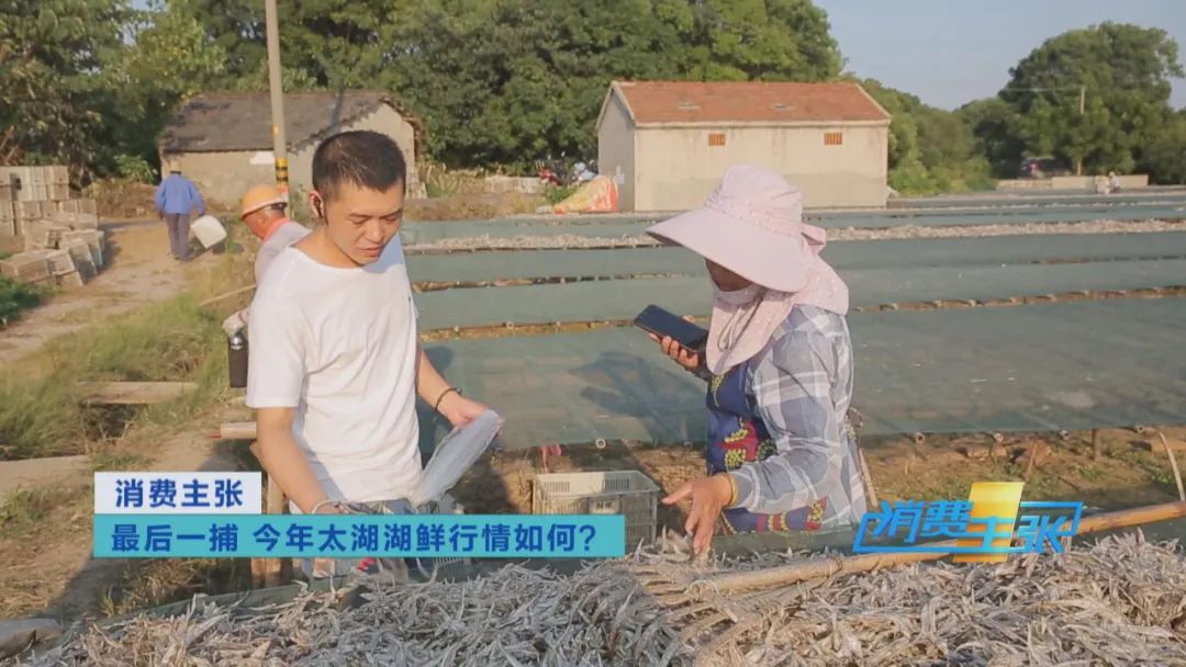 直击太湖开湖现场！鲜美湖鲜大量上市，资深吃货准备好了吗？