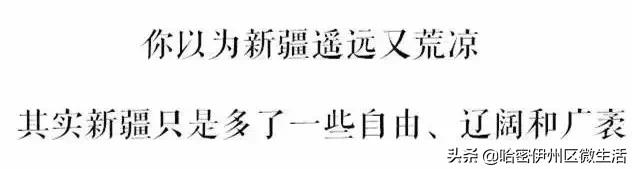 来听听*疆新**人怎么介绍*疆新**吧