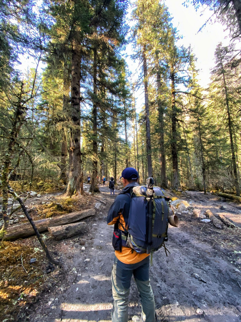 疫情过后走向辉煌,疫情过后勇敢向前