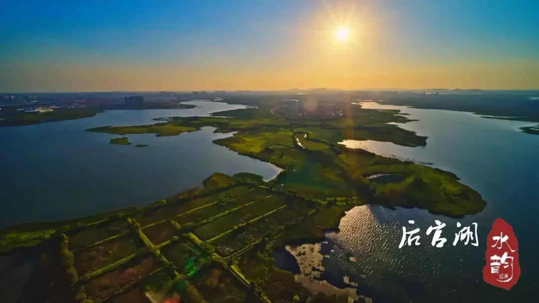 武汉蔡甸后官湖湿地公园,武汉后官湖湿地公园门票