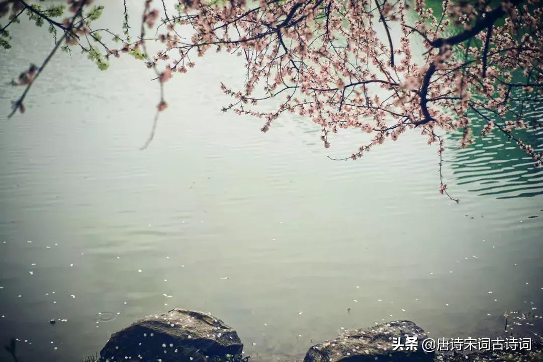 诗词歌赋雅俗共赏,诗酒花茶琴棋书画七言绝句