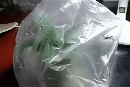 自制养花自动浇水神器教程,自制浇花喂水神器两根管