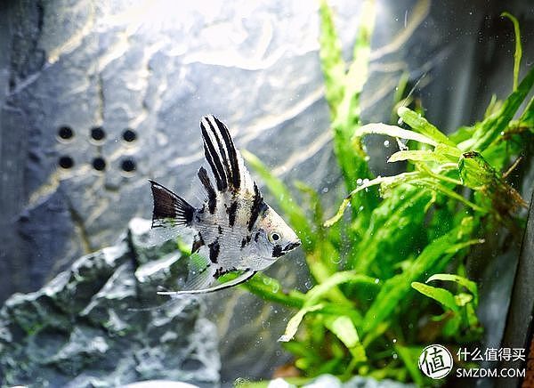 东半球男性礼物,100多男士礼物指南